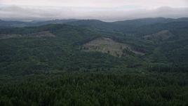 5K aerial stock footage approach logging area in an evergreen forest in Clatsop County, Oregon Aerial Stock Footage | AX56_040E