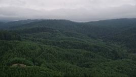 5K aerial stock footage fly over evergreen forest on hills in Clatsop County, Oregon Aerial Stock Footage | AX56_042E