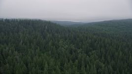 5K aerial stock footage fly over evergreen forest to approach a hillside clear cut area, Clatsop County, Oregon Aerial Stock Footage | AX56_044E