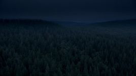 4K day for night color corrected aerial stock footage of vast evergreen forest, reveal a hillside clear cut area in Clatsop County, Oregon Aerial Stock Footage | AX56_044_DFN3