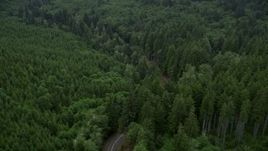 5K aerial stock footage flyby State Route 202 through forest, Clatsop County, Oregon Aerial Stock Footage | AX56_048