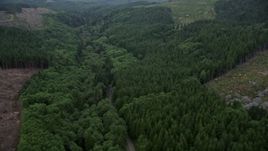 5K aerial stock footage fly over State Route 202 and evergreens near clear cut areas, Clatsop County, Oregon Aerial Stock Footage | AX56_052E