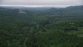 5K aerial stock footage fly over clear cut area with new growth near evergreen trees in Clatsop County, Oregon Aerial Stock Footage | AX56_055E