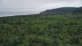 5K aerial stock footage of North Head Light seen from Cape Disappointment State Park, Ilwaco, Washington Aerial Stock Footage | AX56_102