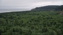 5K aerial stock footage fly over Cape Disappointment State Park, reveal empty beach near North Head Light, Ilwaco, Washington Aerial Stock Footage | AX56_102E