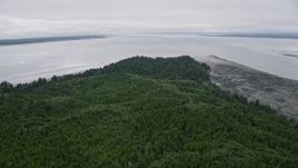 5K aerial stock footage of evergreen forest and marshy shore on Long Island, Washington Aerial Stock Footage | AX56_150