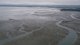 5K aerial stock footage of flying over wetlands on the shore of Willapa Bay, Washington Aerial Stock Footage | AX56_152