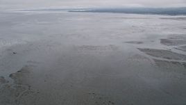 5K aerial stock footage of a view of Willapa Bay, Washington from wetlands on the shore Aerial Stock Footage | AX56_153