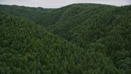 5K aerial stock footage of flying over evergreen forest covering a hill in Pacific County, Washington Aerial Stock Footage | AX56_184E