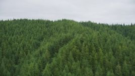 5K aerial stock footage of flying over evergreen forest covering a hill in Pacific County, Washington Aerial Stock Footage | AX56_185