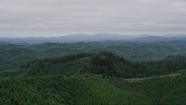 5K aerial stock footage approach hills covered by evergreen forest in Satsop, Washington Aerial Stock Footage | AX57_002