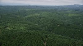 5K aerial stock footage fly over an evergreen forest in Grays Harbor County, Washington Aerial Stock Footage | AX57_019