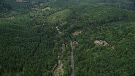 5K aerial stock footage fly over rural homes beside a road through evergreen forest in Grays Harbor County, Washington Aerial Stock Footage | AX57_023