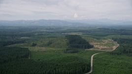 5K aerial stock footage of a winding road through logging areas and evergreen forest in Mason County, Washington Aerial Stock Footage | AX57_030