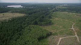 5K aerial stock footage tilt from railroad tracks through trees to dirt roads through a logging area in Grapeview, Washington Aerial Stock Footage | AX58_012