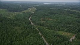 5K aerial stock footage fly over evergreen forest beside a road and logging area in Grapeview, Washington Aerial Stock Footage | AX58_015E