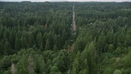 5K aerial stock footage of Wright Bliss Road through evergreen forest in Gig Harbor, Washington Aerial Stock Footage | AX58_031E