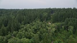 5K aerial stock footage fly over evergreen trees on Vashon Island, Washington Aerial Stock Footage | AX58_055E