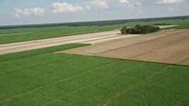 5K aerial stock footage fly over sugar cane fields to approach harvested areas in Vacherie, Louisiana Aerial Stock Footage | AX60_050