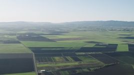 4K aerial stock footage Fly over crop fields beside a country road in Hollister, California Aerial Stock Footage | AX70_103