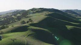 4K aerial stock footage Fly over hilltops and trees in Paicines, California Aerial Stock Footage | AX70_142