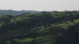 4K aerial stock footage Tree covered hillsides in Paicines, California Aerial Stock Footage | AX70_153