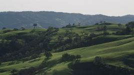 4K aerial stock footage Flyby tree covered hillsides in Paicines, California Aerial Stock Footage | AX70_154