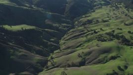 4K aerial stock footage Tilt to a bird's eye view of green hills and trees in Paicines, California Aerial Stock Footage | AX70_161