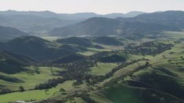 4K aerial stock footage Small green hills with trees in Paicines, California Aerial Stock Footage | AX70_164