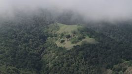 4K aerial stock footage of misty clouds above tree-covered slopes in the Santa Lucia Range in California Aerial Stock Footage | AX70_279