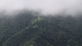 4K aerial stock footage of a layer of clouds above tree-covered slopes in the Santa Lucia Range in California Aerial Stock Footage | AX70_280