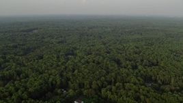4.8K aerial stock footage flying over dense green forest hiding rural homes, Clifton, Virginia, sunset Aerial Stock Footage | AX76_011E