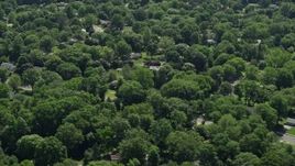 4.8K aerial stock footage flying by suburban homes partially hidden by trees, Lawrenceville, New Jersey Aerial Stock Footage | AX82_081