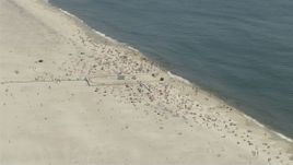 4.8K aerial stock footage approaching and flying over a small crowd at Jones Beach State Park, Wantagh, New York Aerial Stock Footage | AX83_252