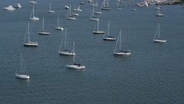 4K aerial stock footage of passing by sailboats anchored in the water in Rye, New York Aerial Stock Footage | AX91_042