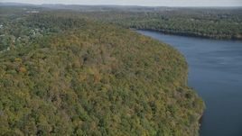 4K aerial stock footage of approaching forests on the shore, autumn, Lake Saltonstall, Connecticut Aerial Stock Footage | AX91_143