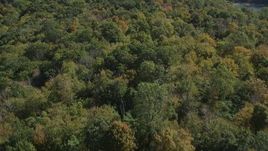 4K aerial stock footage of flying over forest in autumn, East Haven, Connecticut Aerial Stock Footage | AX91_150