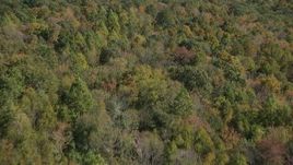 4K aerial stock footage of flying over forest in fall, East Haven, Connecticut Aerial Stock Footage | AX91_152