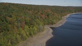 4K aerial stock footage of flying by forest near the shore, autumn, Lake Gallard, Connecticut Aerial Stock Footage | AX91_161