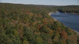 4K aerial stock footage of flying by forest near the shore, autumn, Lake Gallard, Connecticut Aerial Stock Footage | AX91_162