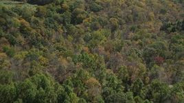 4K aerial stock footage of flying over lush forest in autumn, Lake Gallard, Connecticut Aerial Stock Footage | AX91_167