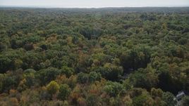 4K aerial stock footage of flying over forest, revealing homes in autumn, Guilford, Connecticut Aerial Stock Footage | AX91_176