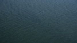 4K aerial stock footage of a reverse view of the calm surface of the Long Island Sound, New York Aerial Stock Footage | AX91_192