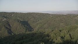 5K aerial stock footage Fly over forest to reveal green mountain ridges, Los Padres National Forest, California Aerial Stock Footage | AXSF03_112