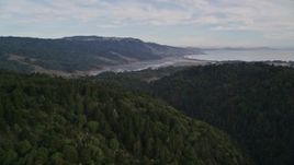 5K aerial stock footage fly over forest in Point Reyes National Seashore reveal Bolinas Lagoon, Olema, California Aerial Stock Footage | AXSF06_066
