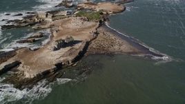 5K aerial stock footage of flying away from seals and sea lions on Año Nuevo Island, California Aerial Stock Footage | AXSF15_078