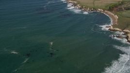 5K aerial stock footage of flying away from coastal cliffs, Santa Cruz, California Aerial Stock Footage | AXSF15_089
