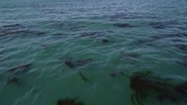 5K aerial stock footage of tilting from kelp forests to a wider view of the ocean, Northern California Aerial Stock Footage | AXSF15_093