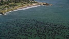 5K aerial stock footage of tilt from kelp forests to reveal coastal neighborhoods and Santa Cruz Wharf, Santa Cruz, California Aerial Stock Footage | AXSF15_096