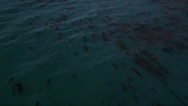 5K aerial stock footage of circling kelp floating in the ocean, Big Sur, California Aerial Stock Footage | AXSF16_077